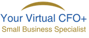 Virtual CFO